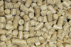 Marten biomass boiler costs